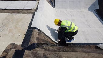 只知道自粘膠膜和聚酯胎 殊不知s clf才是預鋪反粘的完成形態