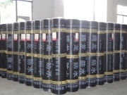 【防水卷材】相冊、圖片- 湖南騰龍科技集團